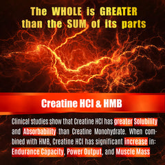 Folona Creatine HCL with HMB label closeup shows product details.