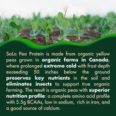 Folona Solo Organic Pea Protein powder bag close-up, rich in iron and calcium.