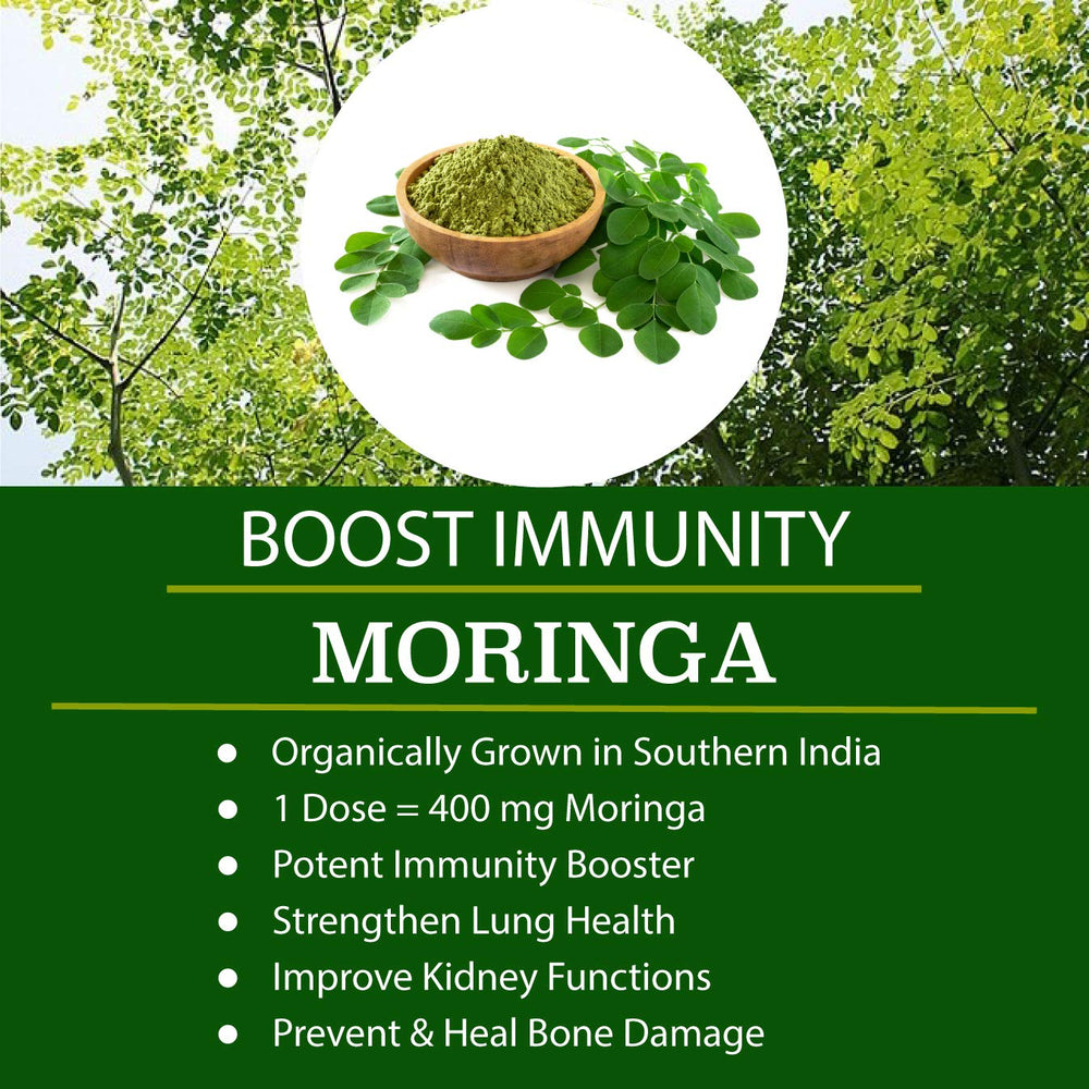 FOLONA turmeric and ginger blend note highlights antioxidant support for daily wellness