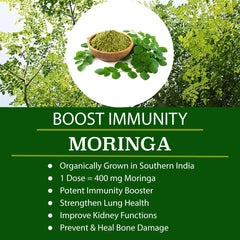 FOLONA turmeric and ginger blend note highlights antioxidant support for daily wellness