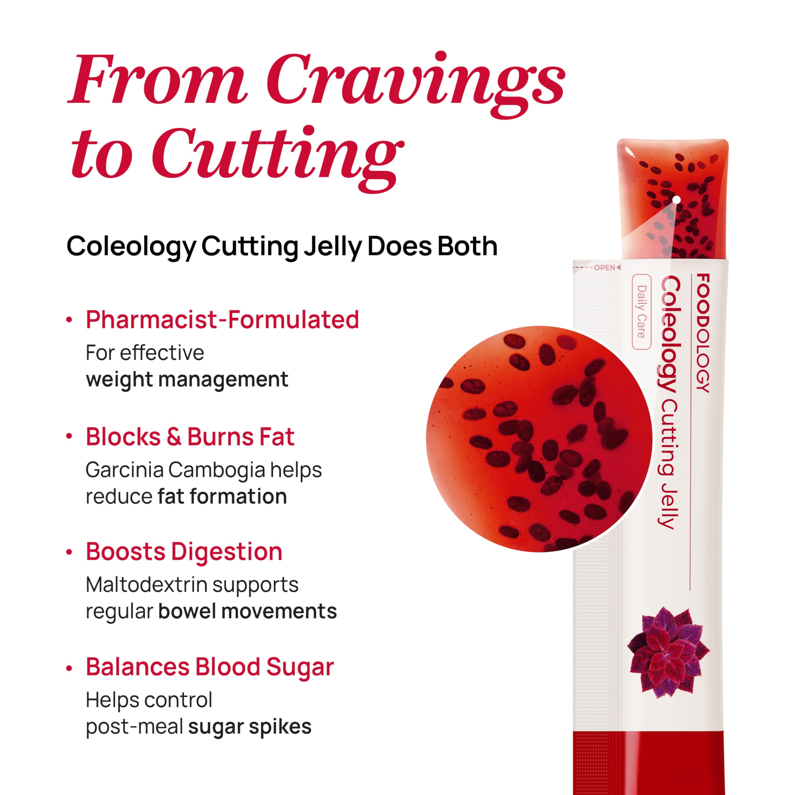 FOODOLOGY Coleology Garcinia cambogia HCA ingredient supports appetite control possibilities.