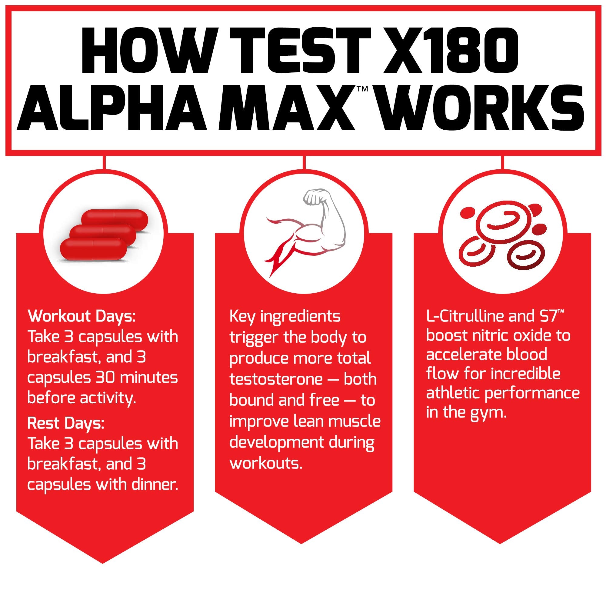Closeup of ingredients in Force Factor Test X180 Alpha Max