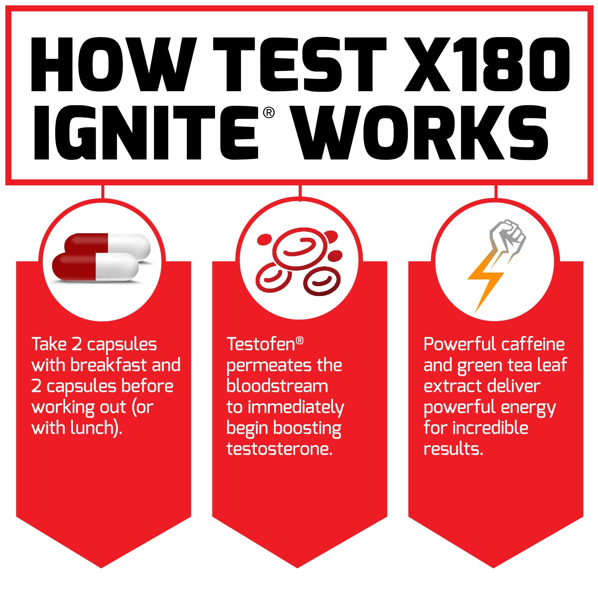 Fenugreek Testofen ingredient spotlight in Test X180 Ignite for lean mass support.