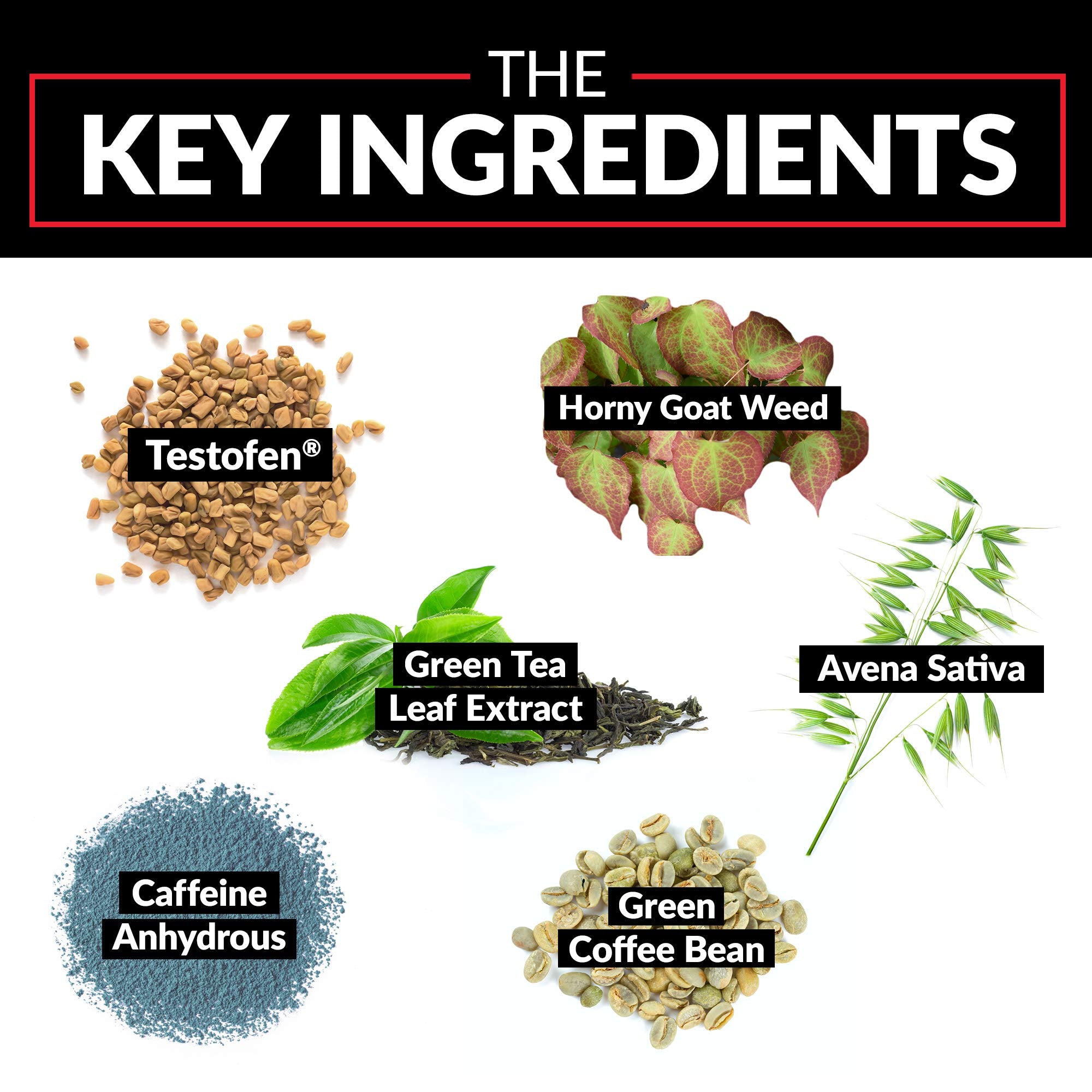 Green tea EGCG imagery associated with Test X180 Ignite's thermogenesis potential.