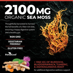 ForestLeaf Bladderwrack Burdock Root blend emphasizes iodine-rich ingredients