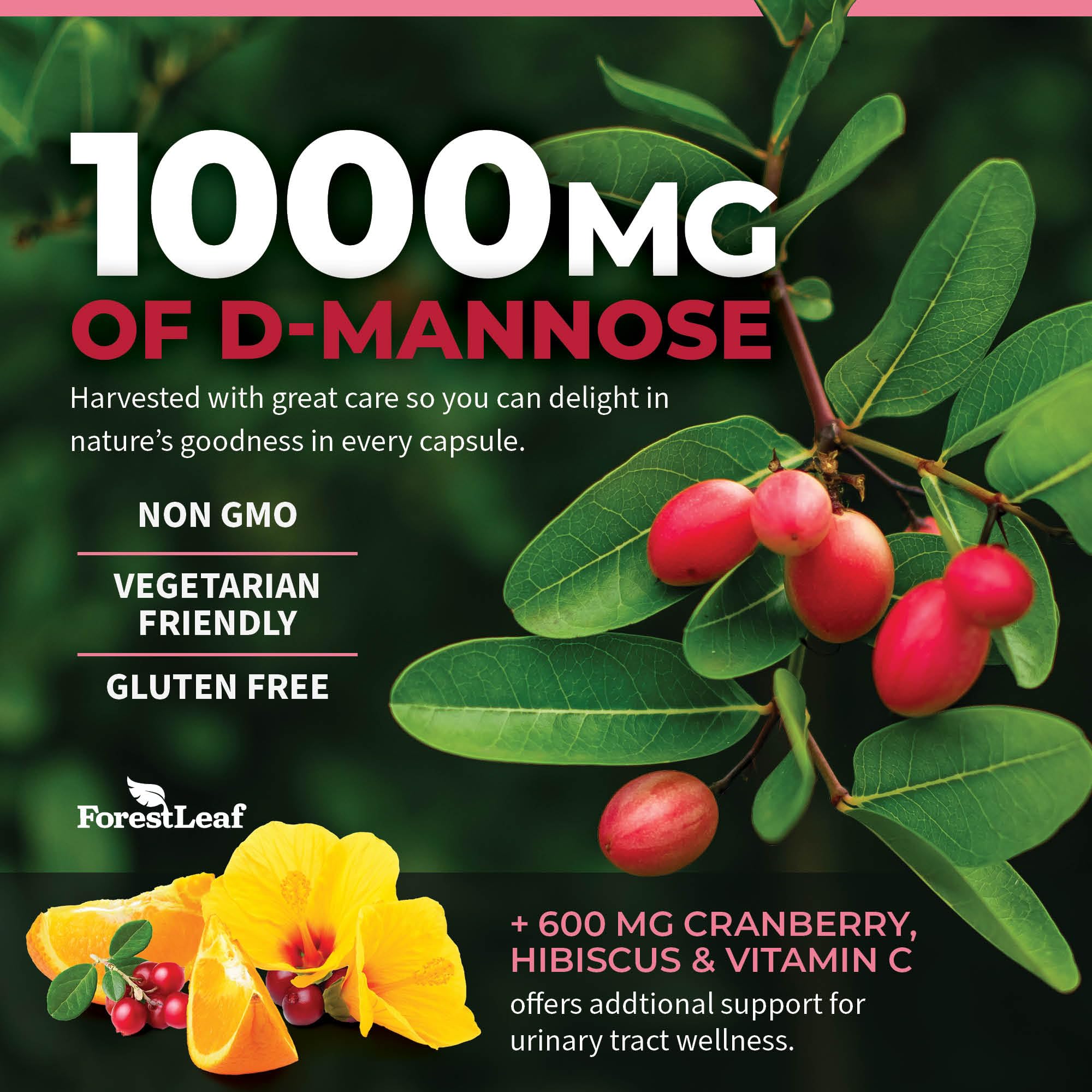 ForestLeaf D-Mannose bottle featuring hibiscus artwork and vitamin C context.