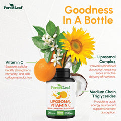 ForestLeaf Liposomal Vitamin C 1000mg two-capsule serving illustrates daily dose