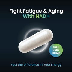 ForestLeaf NAD+ capsules close-up highlighting smooth capsules.
