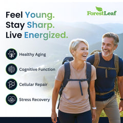 Close-up of ForestLeaf NAD+ label with 500 mg potency.