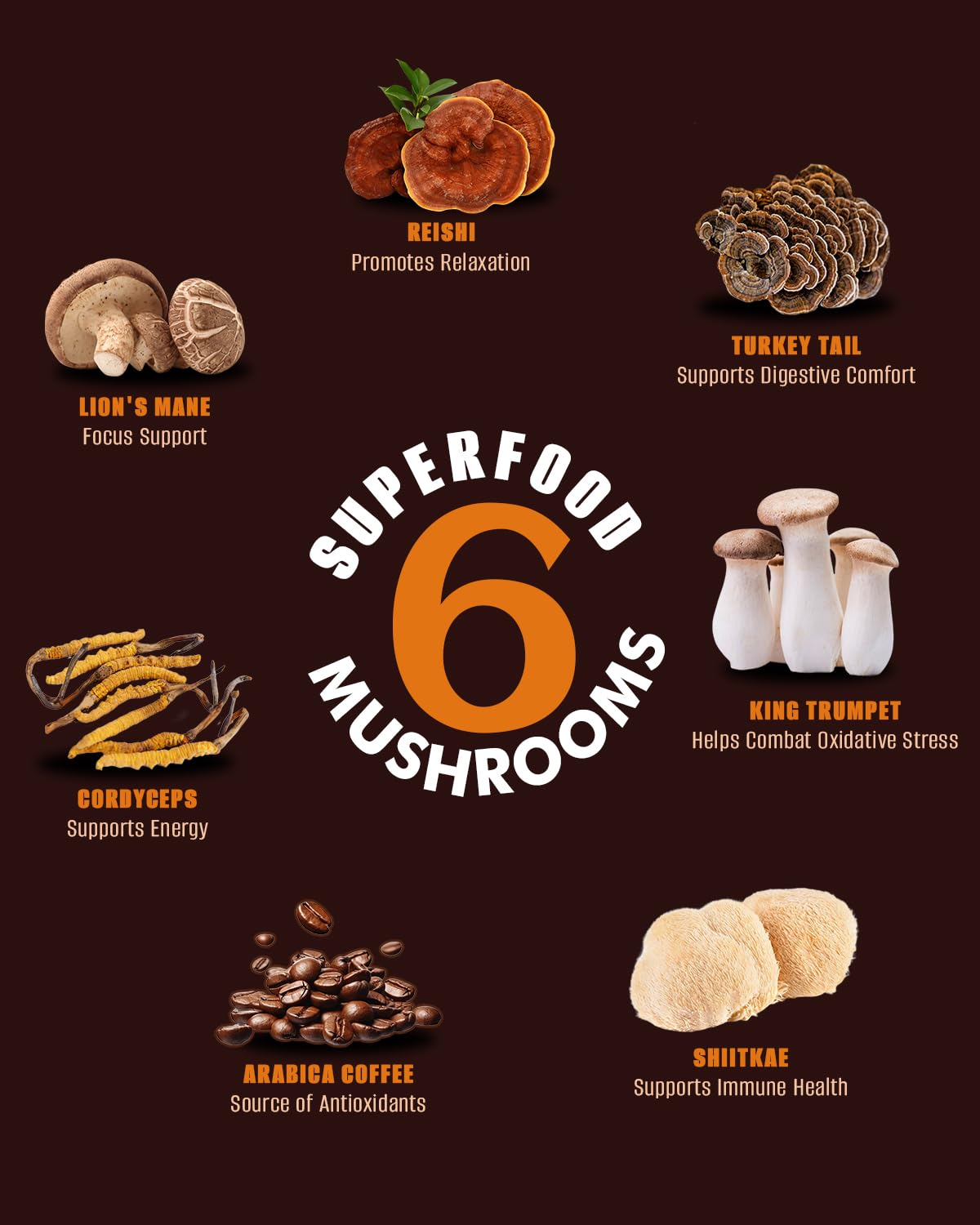 Fortisca Mushroom Coffee powder close-up with earthy mushroom blend for a smooth brew