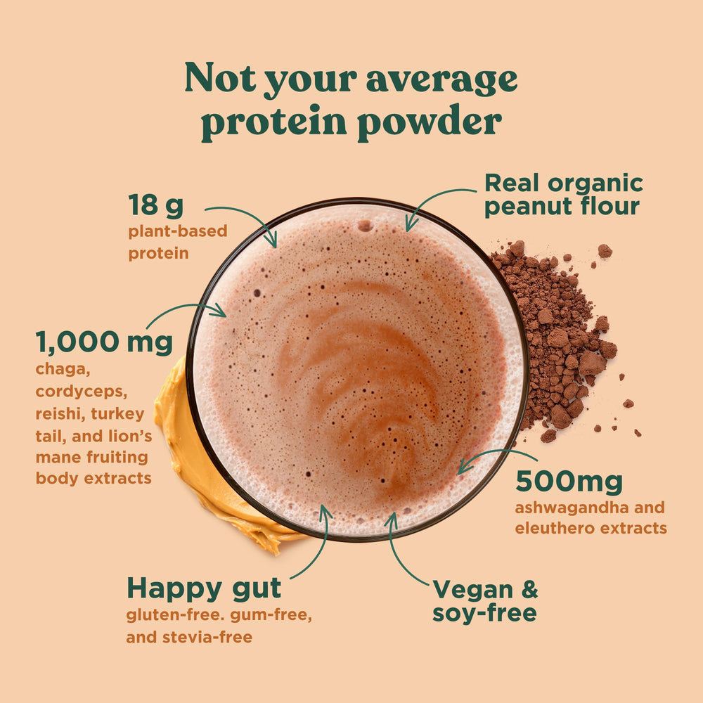Four Sigmatic organic ingredients label close-up underlining clean plant protein sources