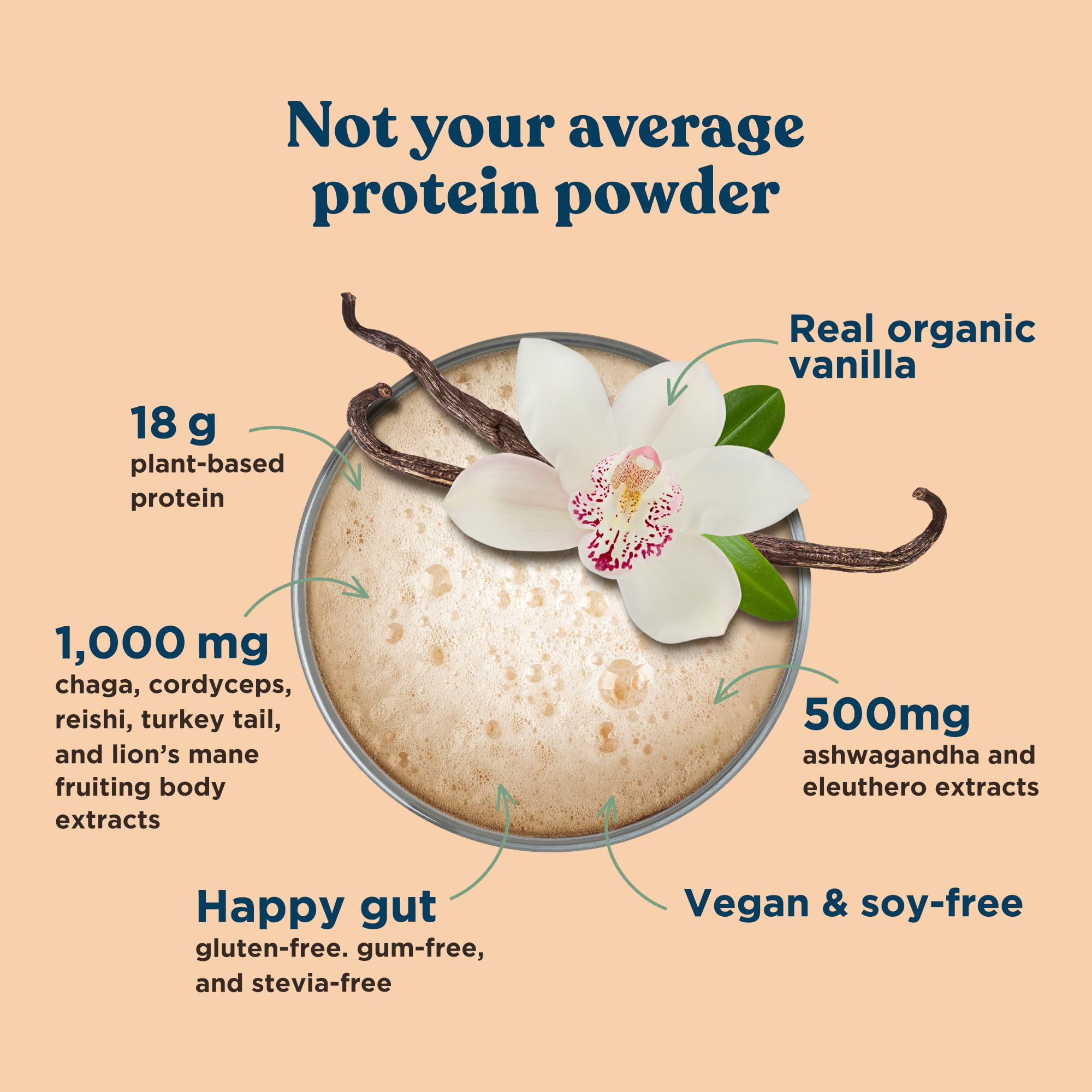 Four Sigmatic organic protein blend hemp pea chia pumpkin coconut for complete protein