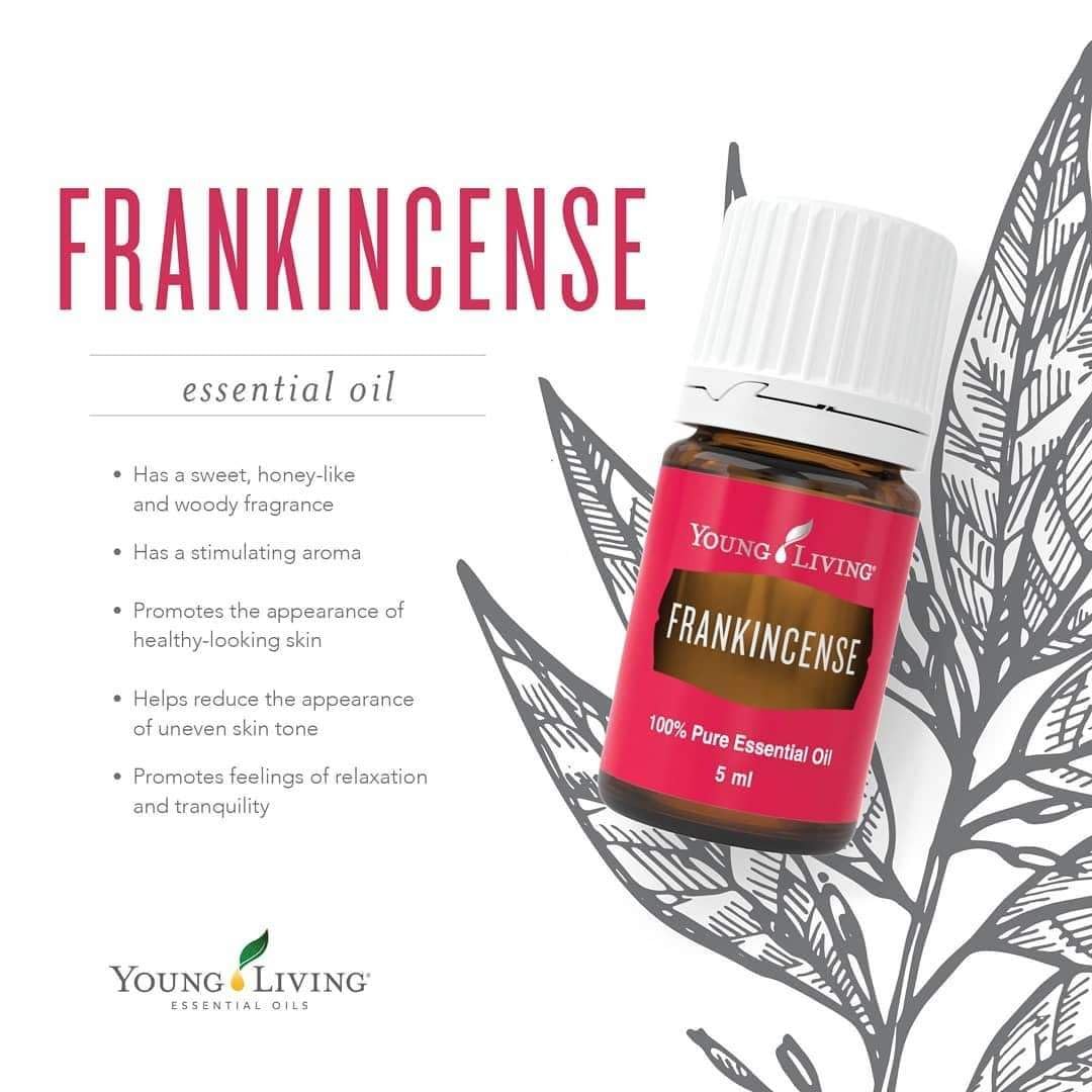 Young Living Frankincense oil with balsamic, warm scent for home calm.