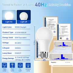 Free2Glow E26 base demonstrates easy compatibility with common lamps.