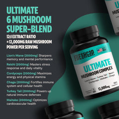 Chaga and Turkey Tail mushrooms bright, part of FreshCap blend for holistic health.