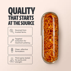 FreshCap Cordyceps capsules label close-up highlighting organic and vegan ingredients.
