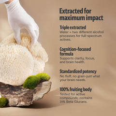 FreshCap Lions Mane Powder blended into a smoothie for focus and clarity.