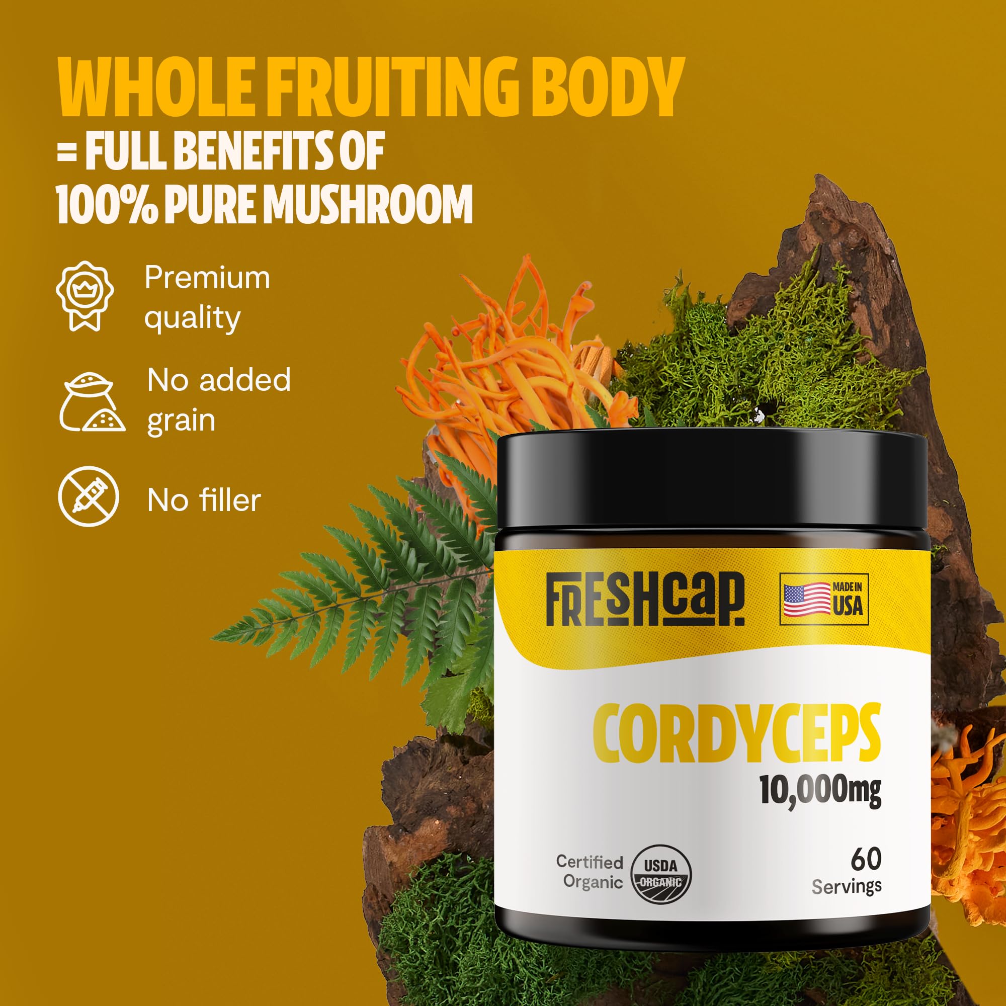 FreshCap Mushrooms Cordyceps powder ingredients image illustrating water-extracted, bioavailable compounds.