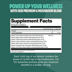 Reishi and Cordyceps capsules by FreshCap highlighting immune and energy benefits.