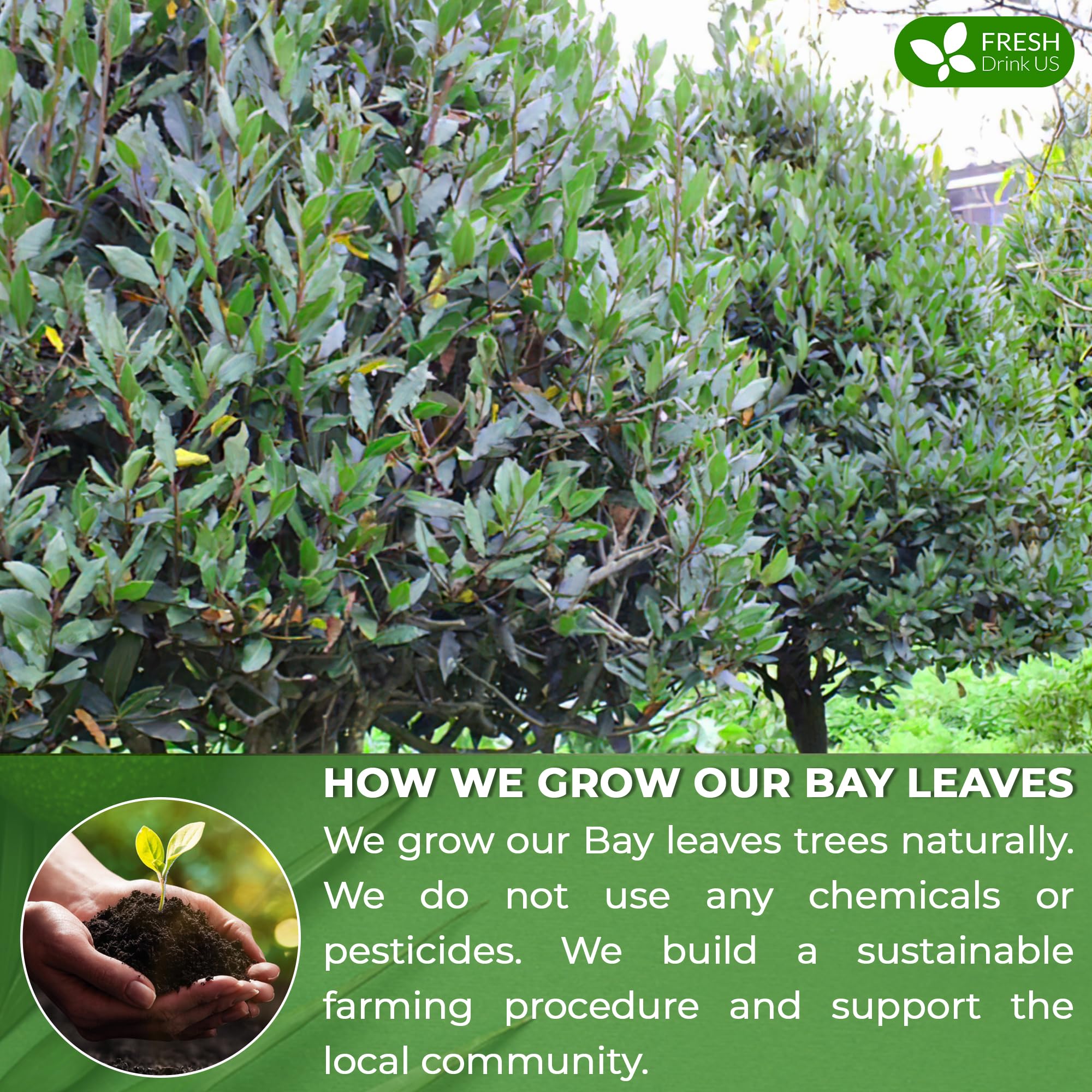 FRESHDRINKUS handmade processing label conveys care and quality in the product.