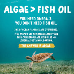 Freshfield Omega 3 bio-plastic packaging showcases eco-friendly design