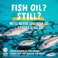 Freshfield Vegan Omega-3 capsules closeup highlights DHA and DPA for brain health support.