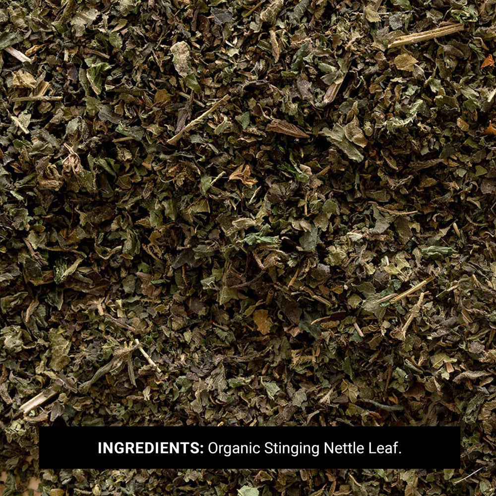 Close-up of Frontier Co-op nettle leaf highlighting texture