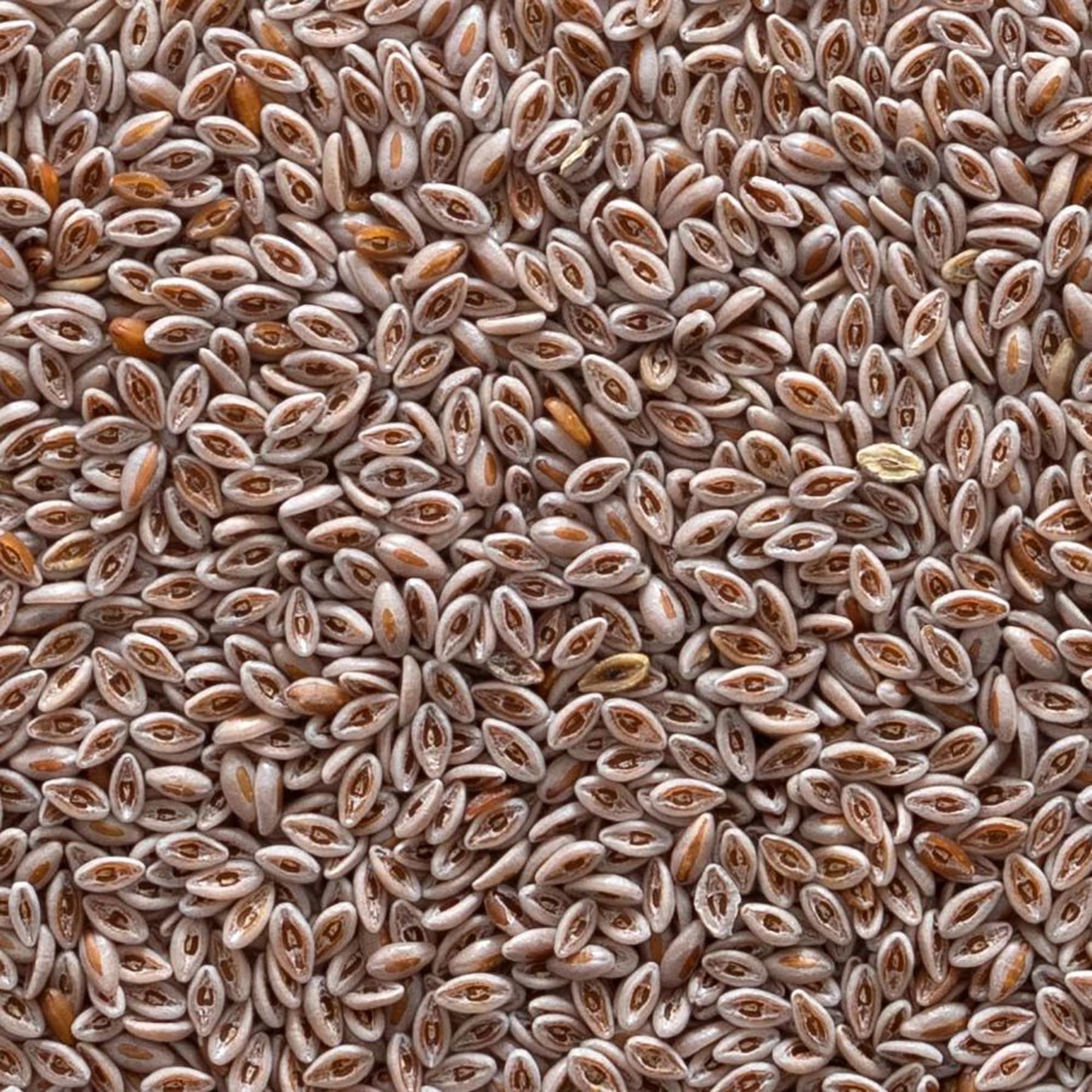 Frontier Co-op psyllium seed bag supports gluten-free baking with a mild, neutral flavor.