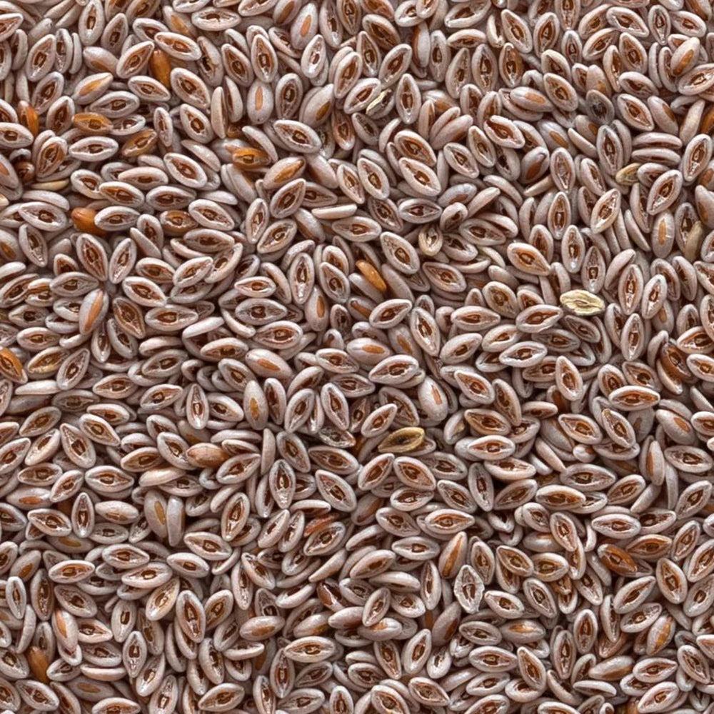 Frontier Co-op psyllium seed bag supports gluten-free baking with a mild, neutral flavor.