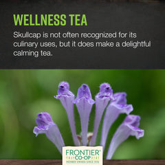 Frontier Co-op Skullcap DIY capsules for custom wellness routines.