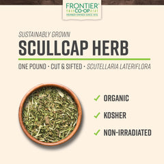 Frontier Co-op Skullcap loose tea brew with calming aroma for evening ritual.