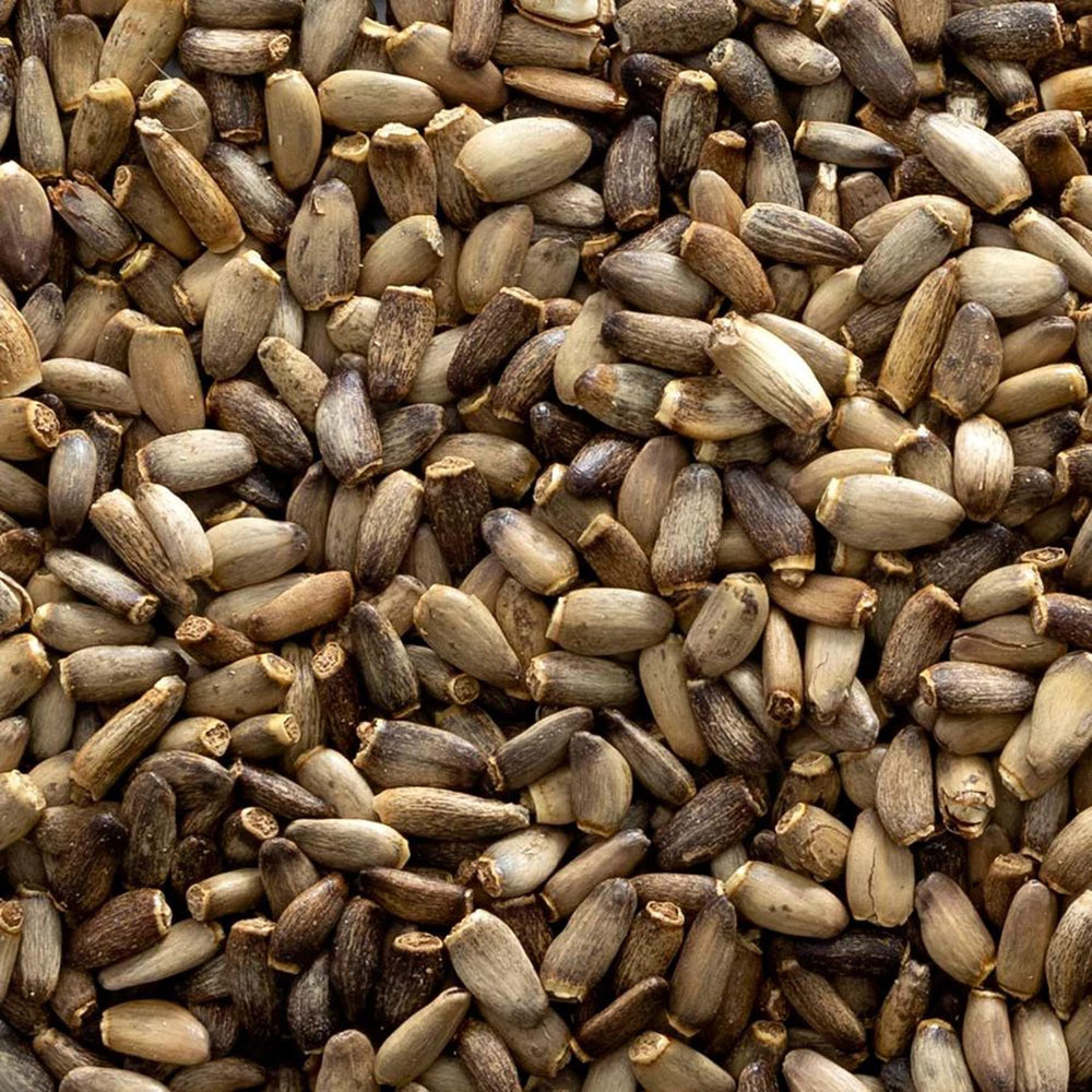 Frontier Milk Thistle Seed Whole bottle shown with easy pour for pantry storage