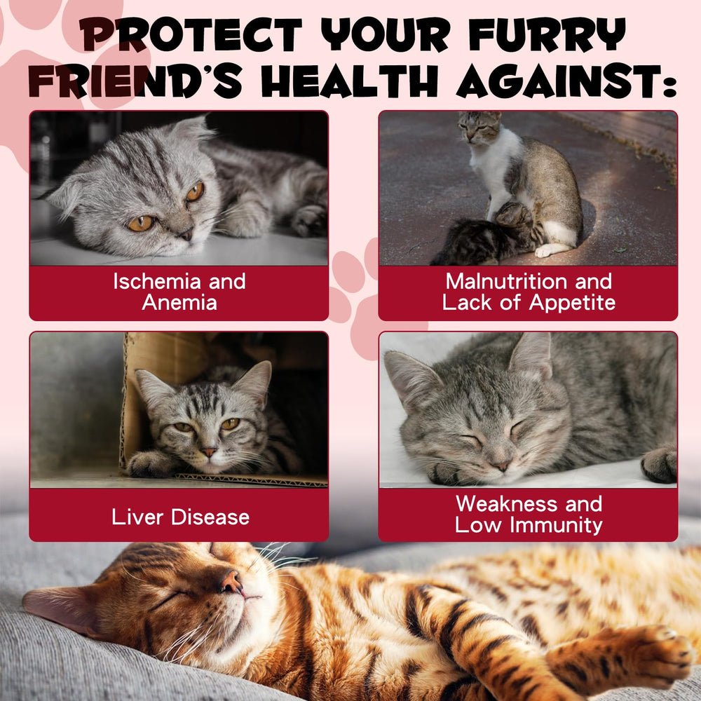 FSLHCY iron supplement for cats pipette dispense demonstrates convenient administration