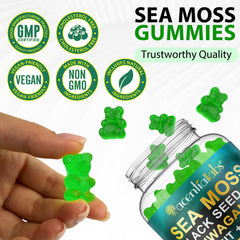 FSLHCY Sea Moss gummies ingredients showcase minerals for vitality.