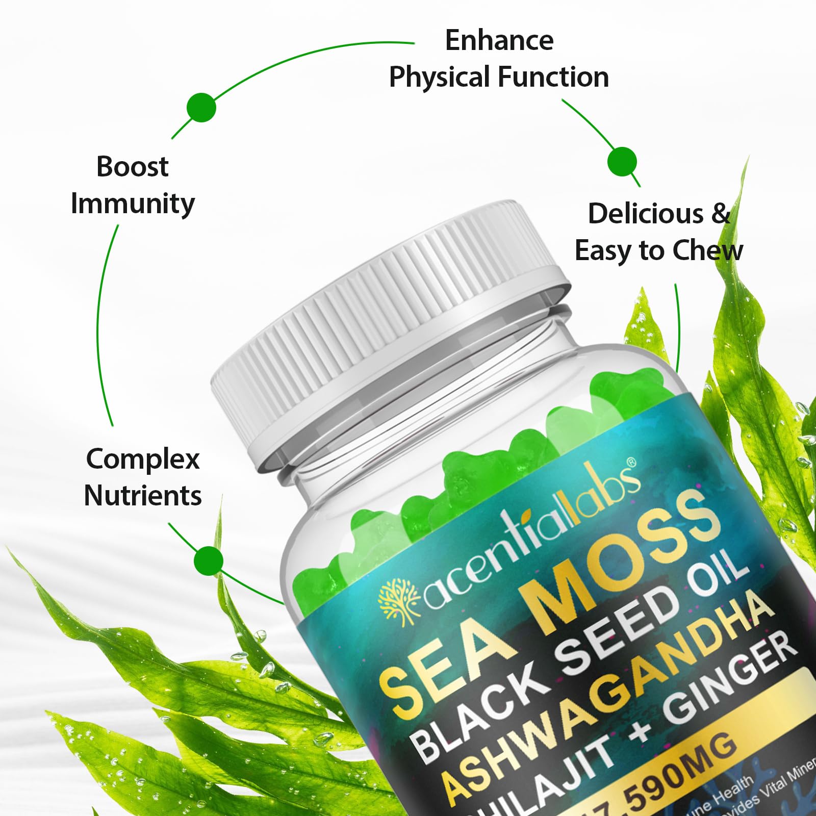 FSLHCY on-the-go gummies with fruit for easy daily routine and portability.