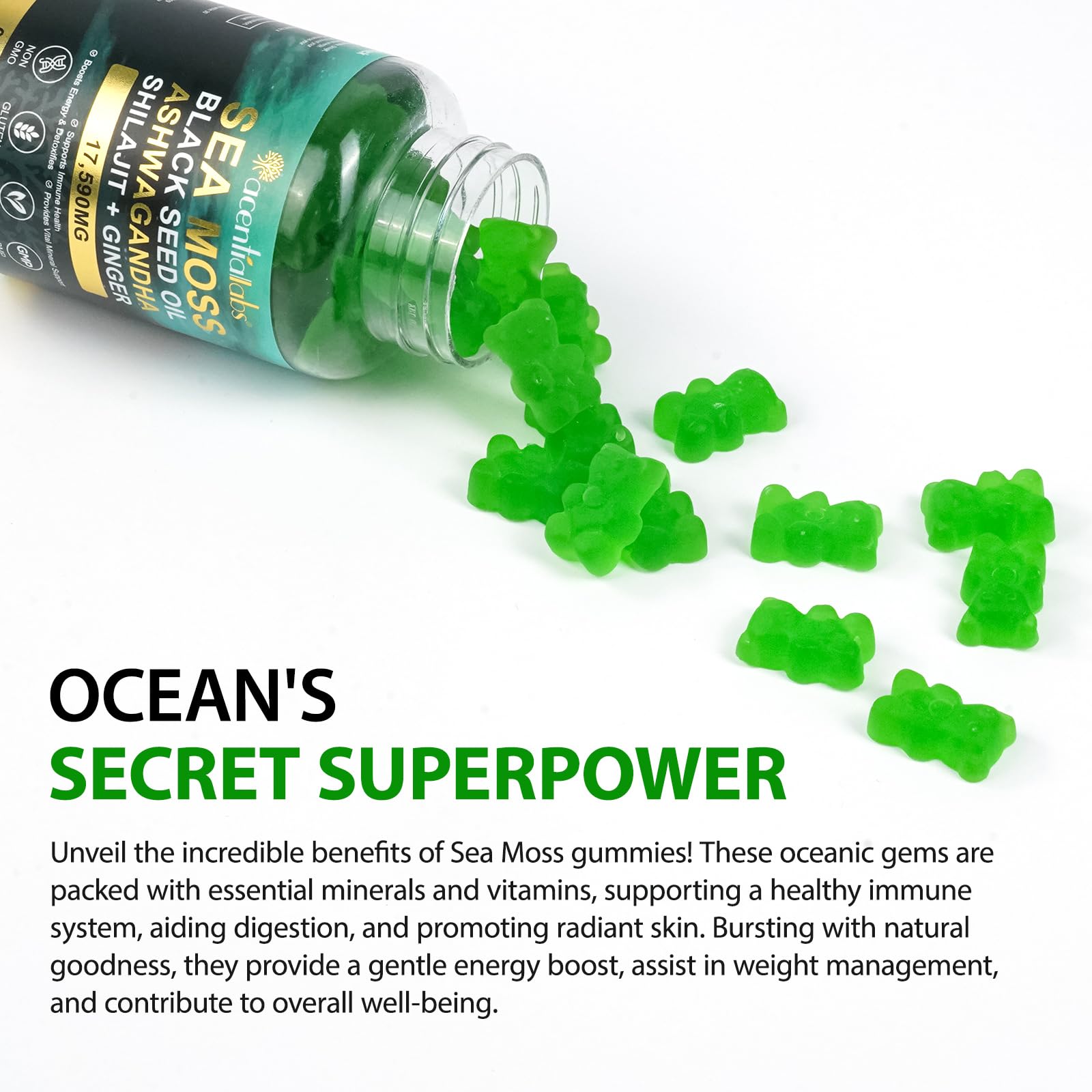 FSLHCY family-use scene with Sea Moss Gummies at breakfast for convenience.