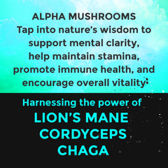 Fully Loaded Alpha Mushrooms mint packaging box highlights USA-made quality appeal.