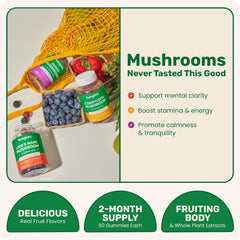 Fungies Cordyceps bundle gummies bottle designed for energy and daytime activity.