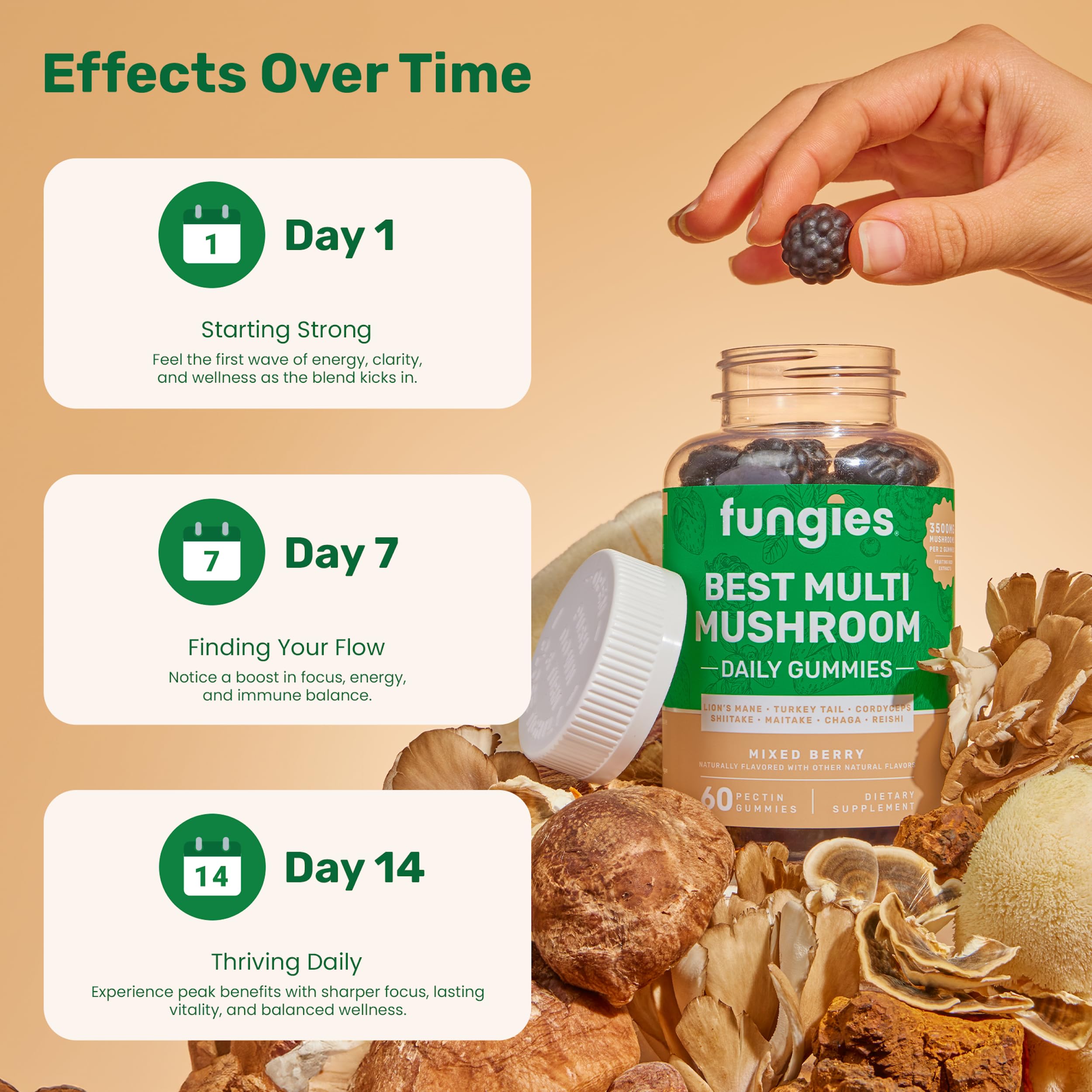 Fungies Multi Mushroom Gummies with cordyceps for steady energy and endurance