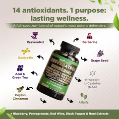 Veggie capsules dissolving smoothly for easy daily use.