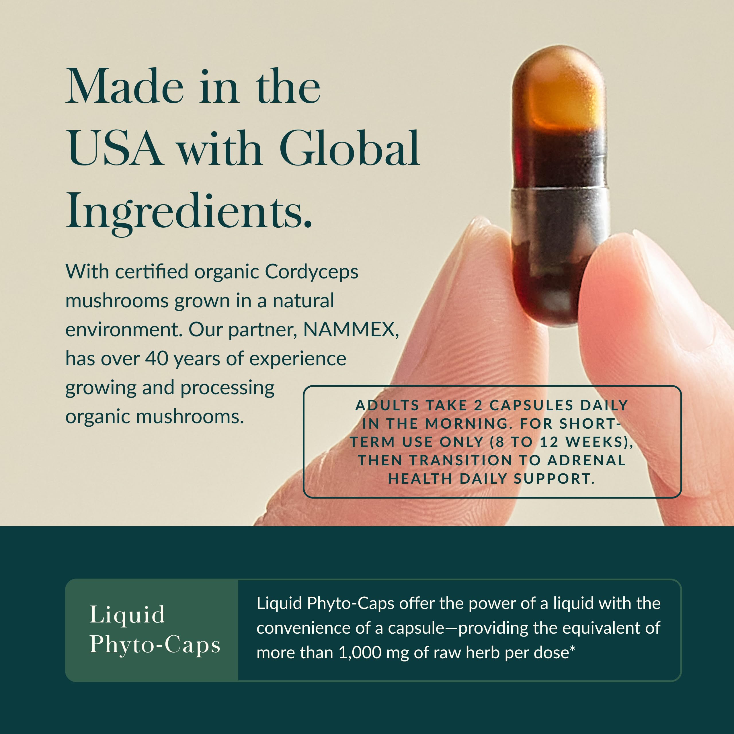 Cordyceps mushrooms in Gaia Herbs Adrenal Health Jumpstart visual emphasizing energy support