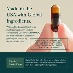 Cordyceps mushrooms in Gaia Herbs Adrenal Health Jumpstart visual emphasizing energy support