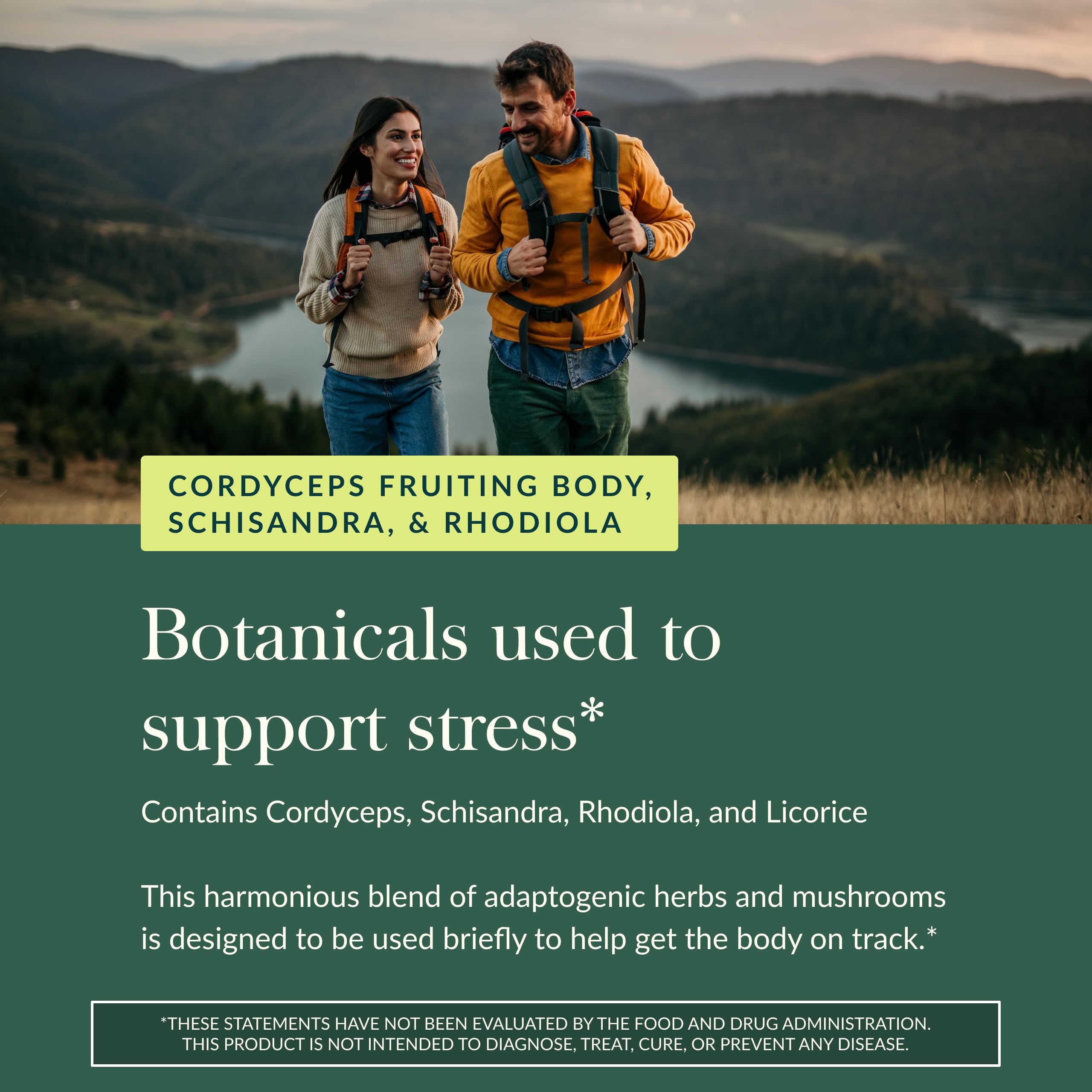 Rhodiola roots in Gaia Herbs Adrenal Health Jumpstart illustrating stress response herbs