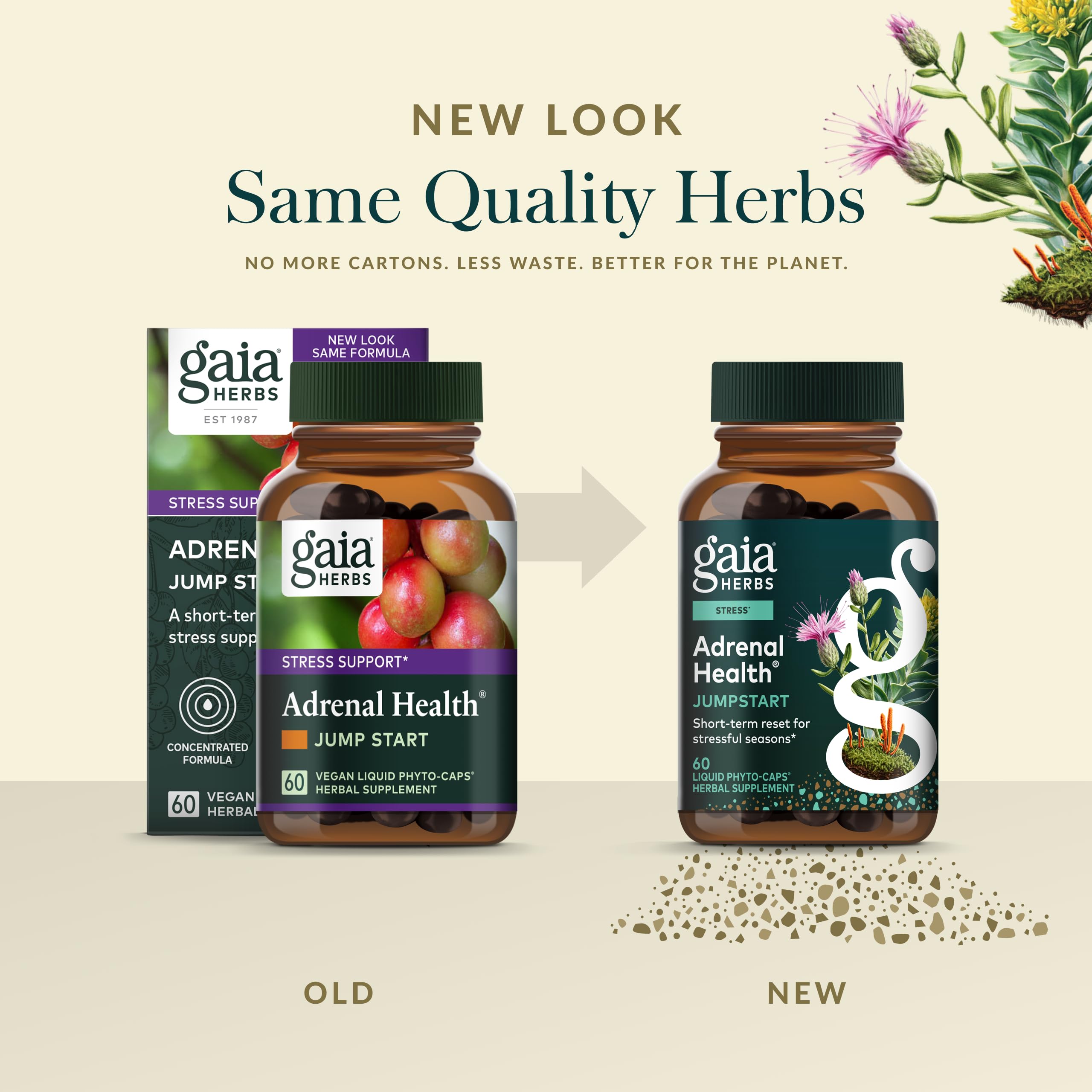 Schisandra berries in Gaia Herbs Adrenal Health Jumpstart emphasizing adaptogenic ingredients