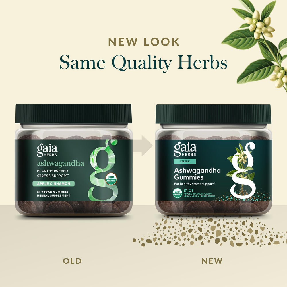Cinnamon and ginger elements beside Gaia Herbs Ashwagandha Gummies flavor profile