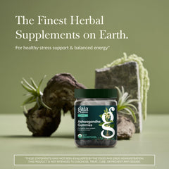 Gaia Herbs Ashwagandha Gummies close-up showcases chewy texture and natural fruit flavors.