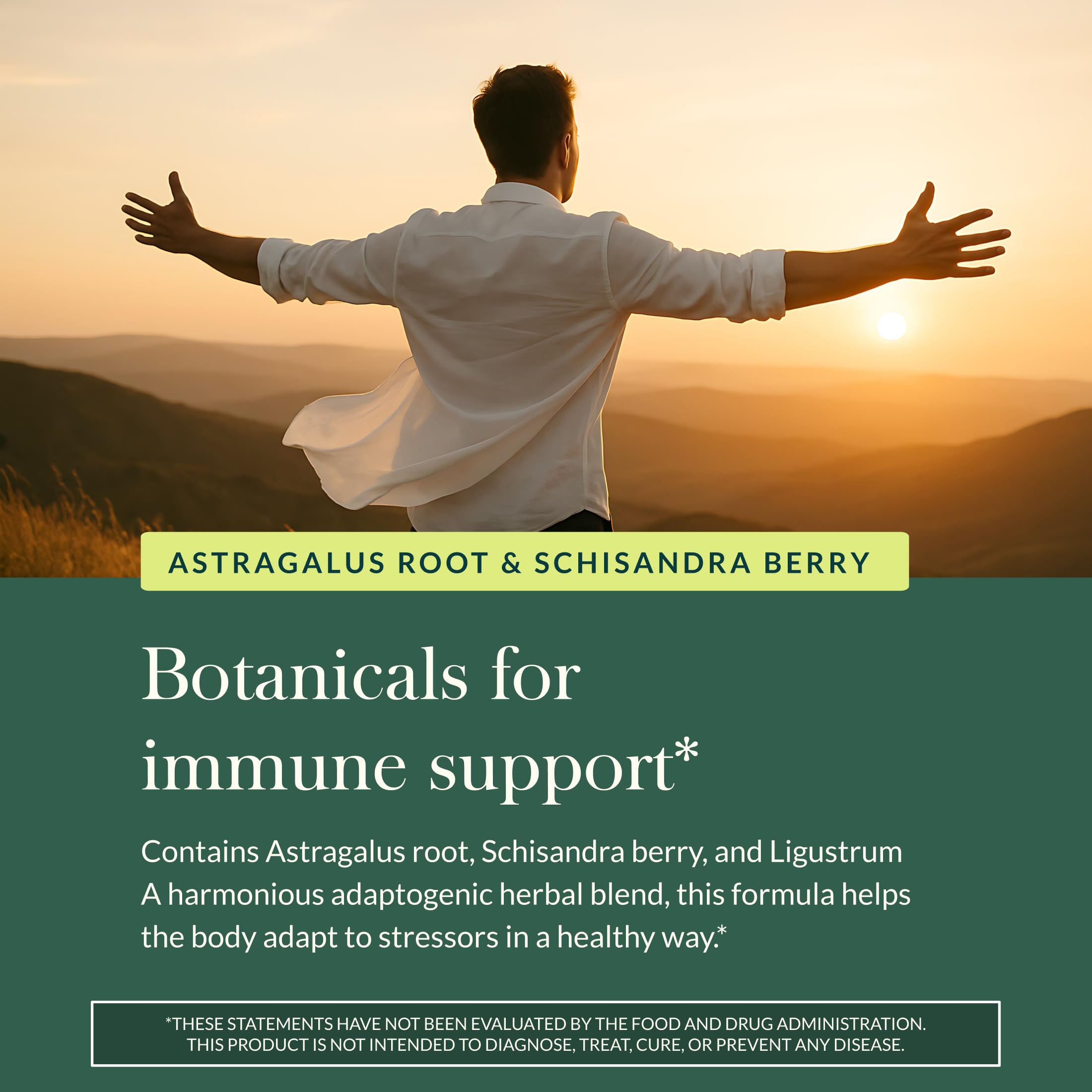 Gaia Herbs Astragalus Supreme astragalus root highlight reflects traditional herbal strength.