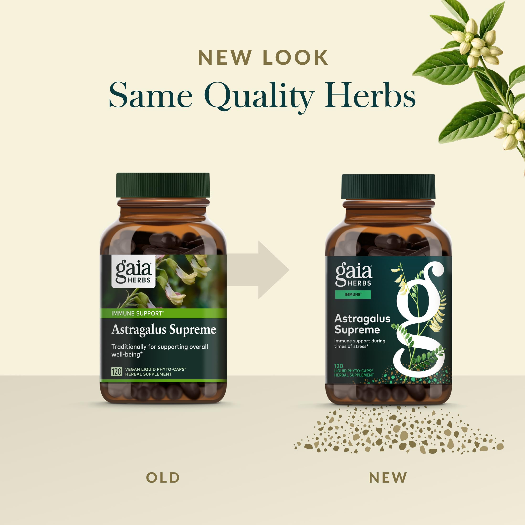 Gaia Herbs Astragalus Supreme schisandra berry inclusion supports immune and liver function.