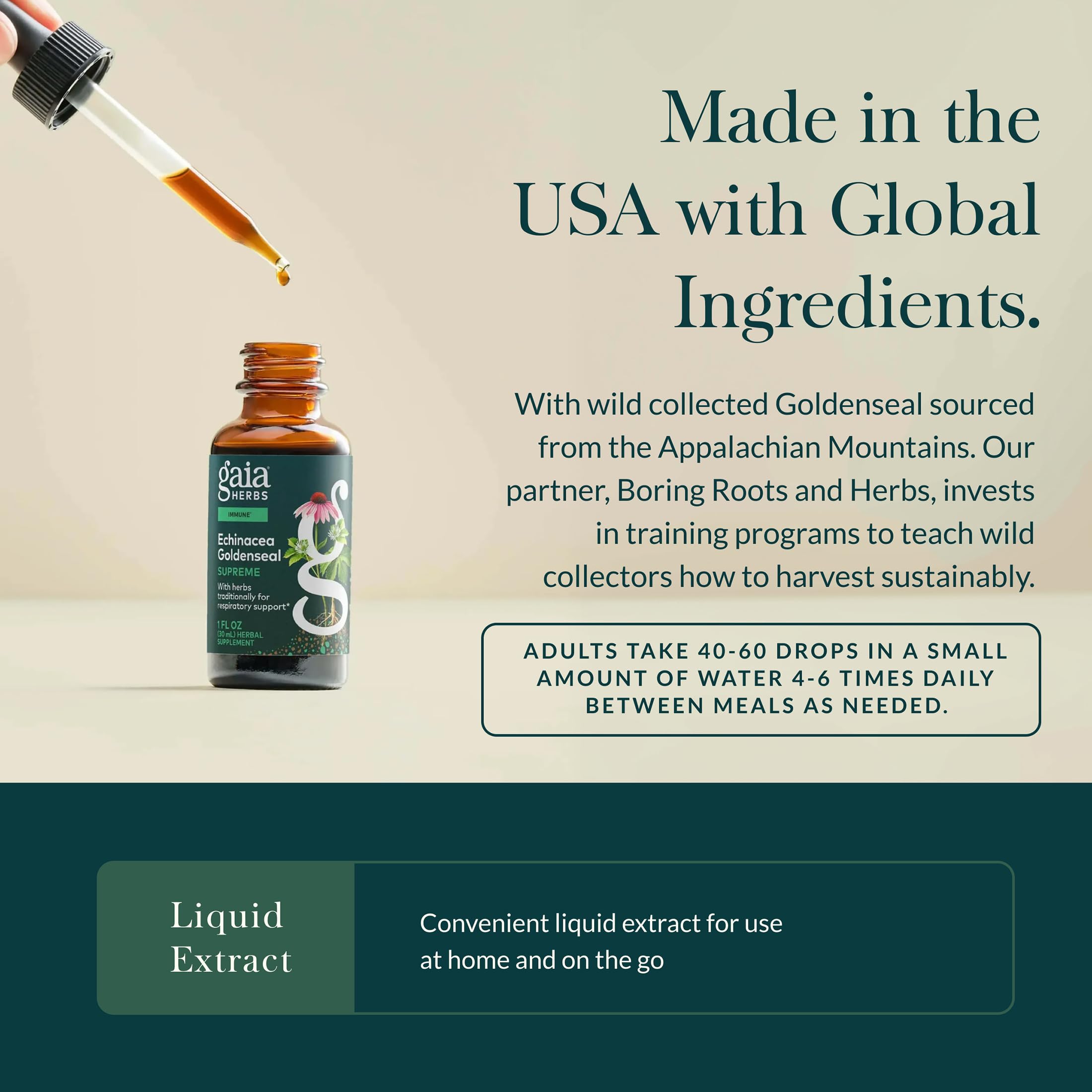 Gaia Herbs close-up of goldenseal root highlighting botanical ingredient quality