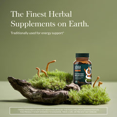 Gaia Herbs Cordyceps capsules ready for daily endurance during workouts.